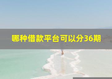 哪种借款平台可以分36期