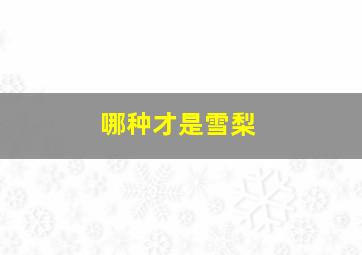 哪种才是雪梨