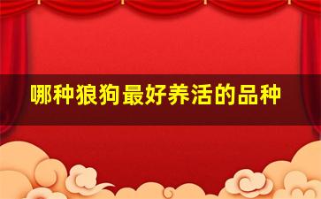 哪种狼狗最好养活的品种