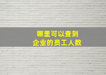 哪里可以查到企业的员工人数