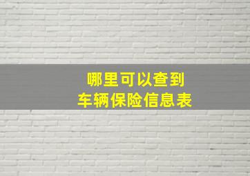 哪里可以查到车辆保险信息表