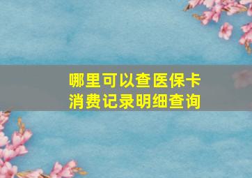 哪里可以查医保卡消费记录明细查询