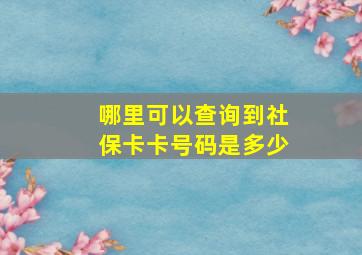 哪里可以查询到社保卡卡号码是多少