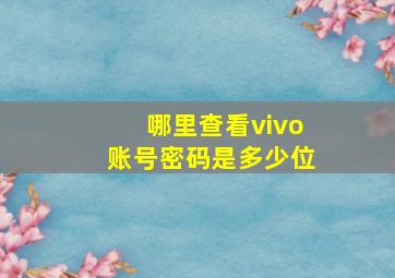 哪里查看vivo账号密码是多少位