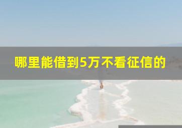 哪里能借到5万不看征信的