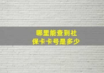 哪里能查到社保卡卡号是多少