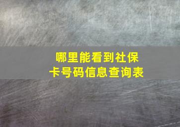 哪里能看到社保卡号码信息查询表