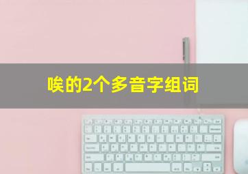 唉的2个多音字组词