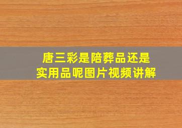 唐三彩是陪葬品还是实用品呢图片视频讲解