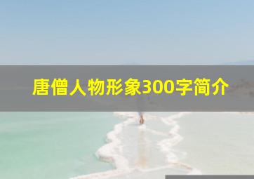 唐僧人物形象300字简介