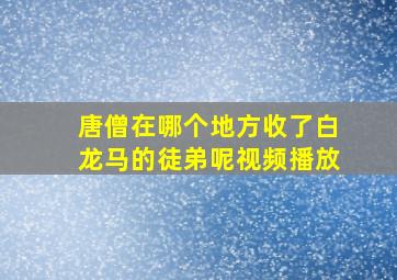 唐僧在哪个地方收了白龙马的徒弟呢视频播放