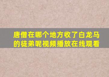 唐僧在哪个地方收了白龙马的徒弟呢视频播放在线观看