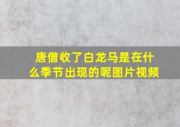 唐僧收了白龙马是在什么季节出现的呢图片视频