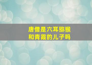 唐僧是六耳猕猴和青霞的儿子吗