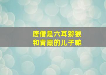 唐僧是六耳猕猴和青霞的儿子嘛