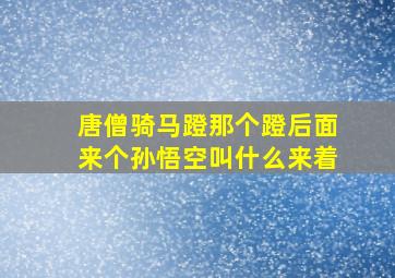 唐僧骑马蹬那个蹬后面来个孙悟空叫什么来着