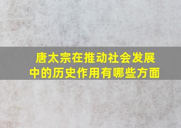 唐太宗在推动社会发展中的历史作用有哪些方面