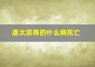 唐太宗得的什么病死亡