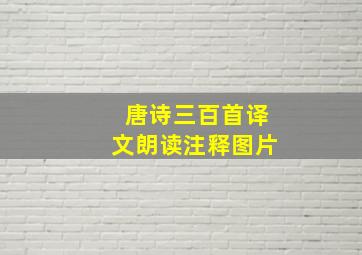 唐诗三百首译文朗读注释图片