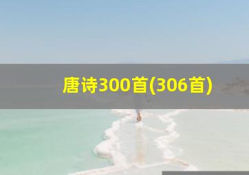 唐诗300首(306首)