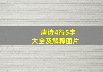 唐诗4行5字大全及解释图片