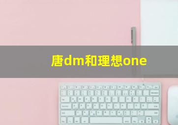 唐dm和理想one