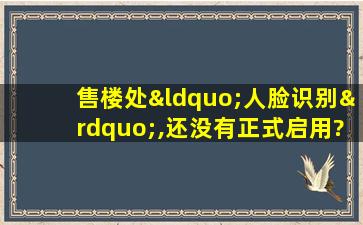 售楼处“人脸识别”,还没有正式启用?