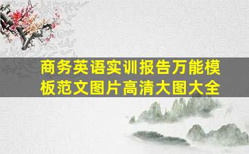 商务英语实训报告万能模板范文图片高清大图大全