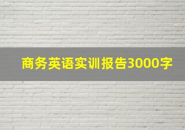 商务英语实训报告3000字