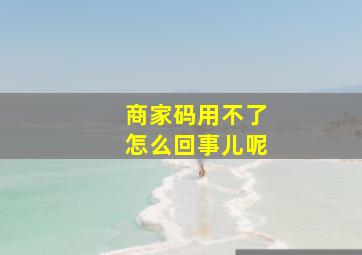 商家码用不了怎么回事儿呢