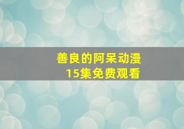 善良的阿呆动漫15集免费观看