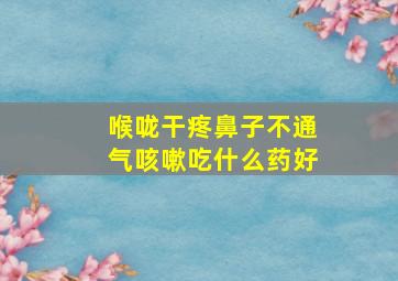 喉咙干疼鼻子不通气咳嗽吃什么药好