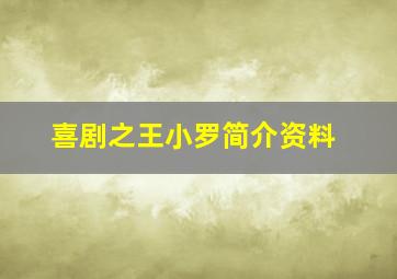 喜剧之王小罗简介资料