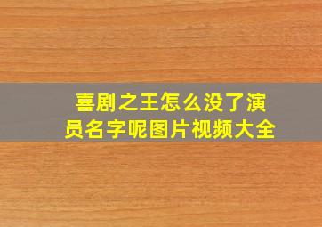 喜剧之王怎么没了演员名字呢图片视频大全