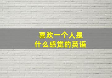 喜欢一个人是什么感觉的英语