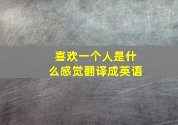 喜欢一个人是什么感觉翻译成英语