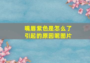 嘴唇紫色是怎么了引起的原因呢图片