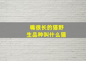 嘴很长的猫野生品种叫什么猫