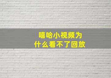 嘻哈小视频为什么看不了回放