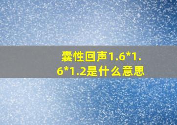 囊性回声1.6*1.6*1.2是什么意思