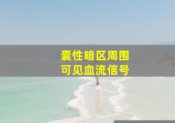 囊性暗区周围可见血流信号