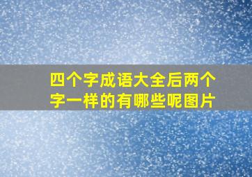 四个字成语大全后两个字一样的有哪些呢图片