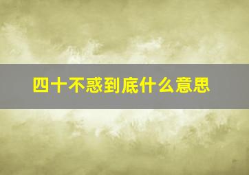 四十不惑到底什么意思