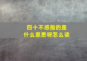 四十不惑指的是什么意思呀怎么读