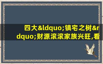 四大“镇宅之树”财源滚滚家族兴旺,看看你家有吗?