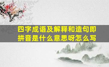 四字成语及解释和造句即拼音是什么意思呀怎么写