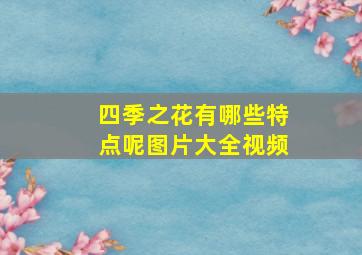 四季之花有哪些特点呢图片大全视频