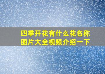 四季开花有什么花名称图片大全视频介绍一下