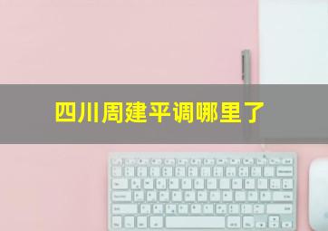 四川周建平调哪里了