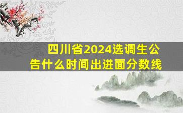 四川省2024选调生公告什么时间出进面分数线